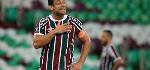 Fred - ATA | Fluminense